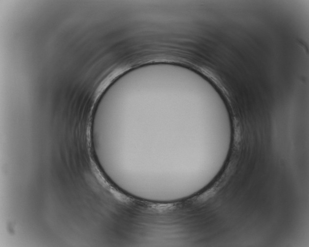 X0000100381282200806060817