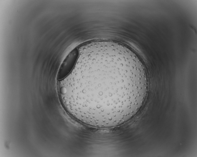 X0000100381283200806060817