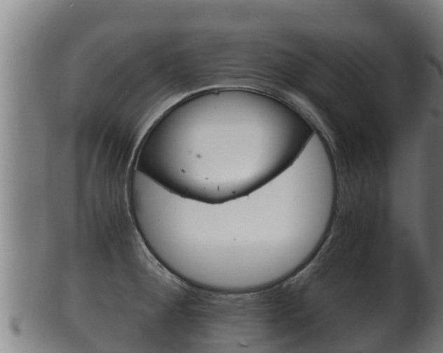 X0000100381284200806060817