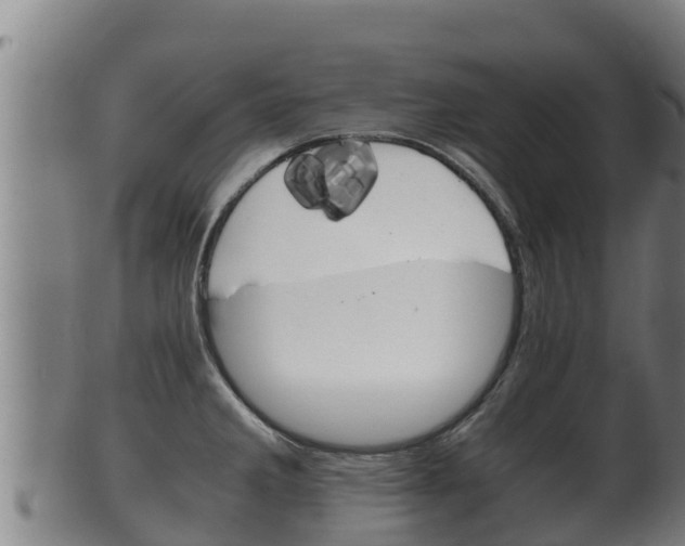X0000100381285200806060817