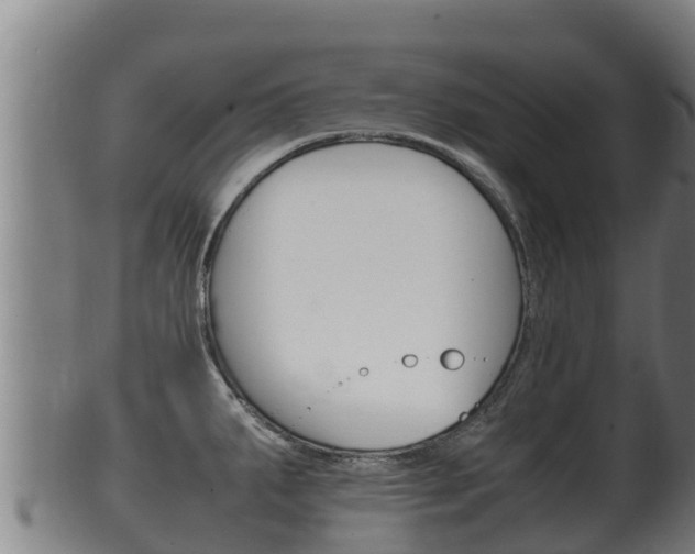 X0000100381287200806060817