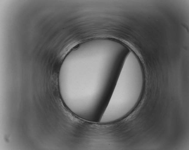 X0000100381289200806060817
