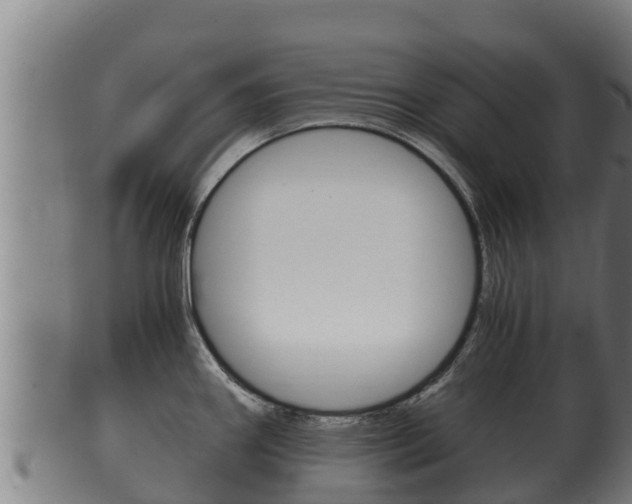 X0000100381290200806060817