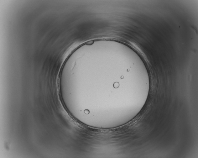 X0000100381291200806060817