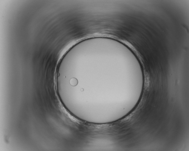 X0000100381294200806060817