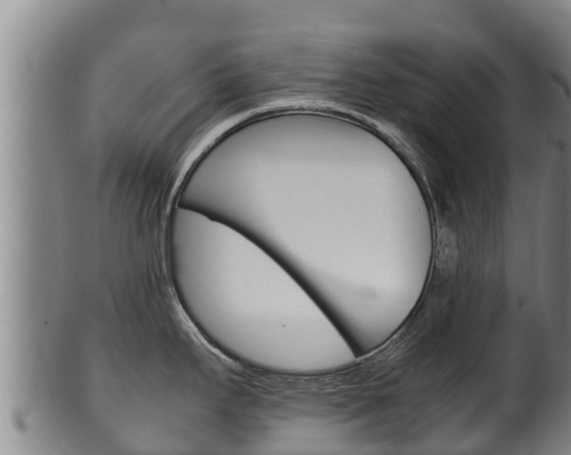 X0000100381295200806060817