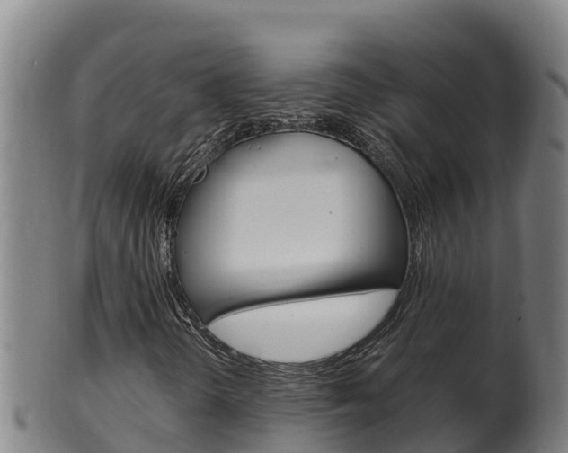 X0000100381298200806060816
