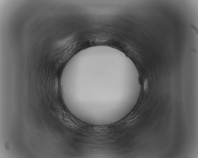 X0000100381299200806060816