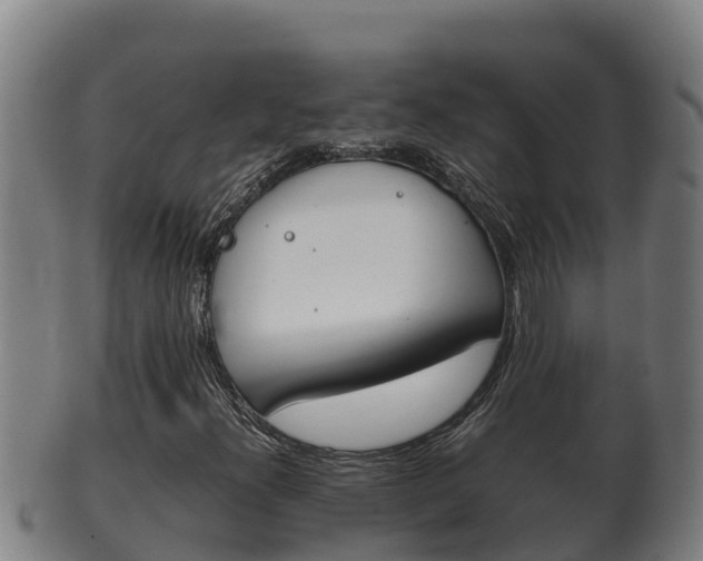 X0000100381300200806060816