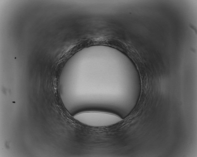 X0000100381301200806060816