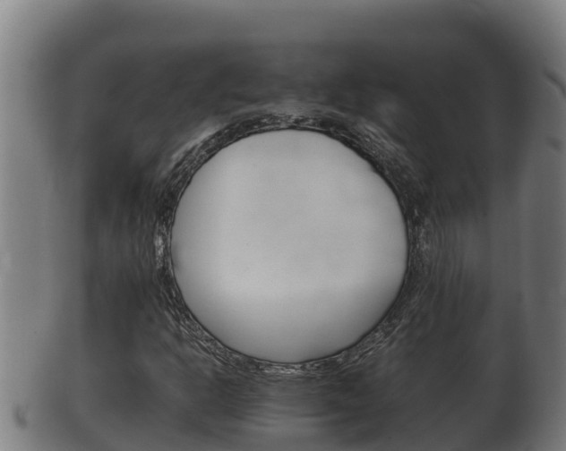 X0000100381302200806060816