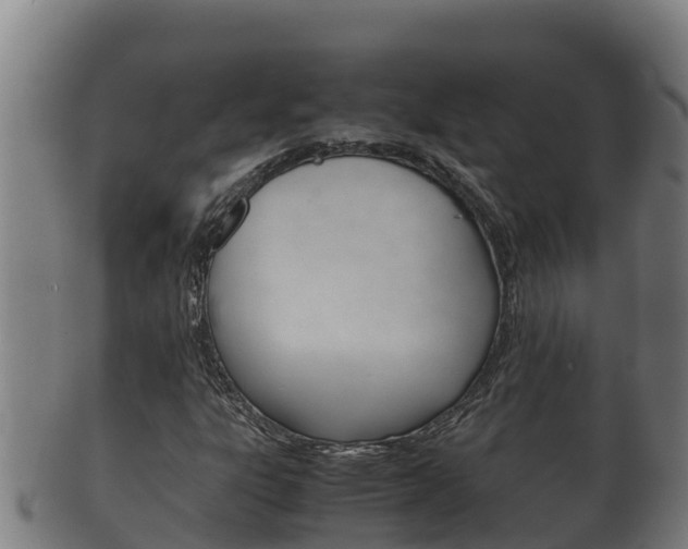 X0000100381303200806060816