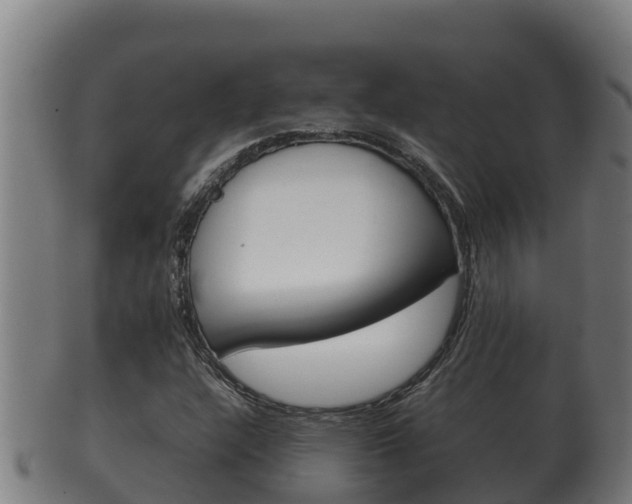 X0000100381304200806060817