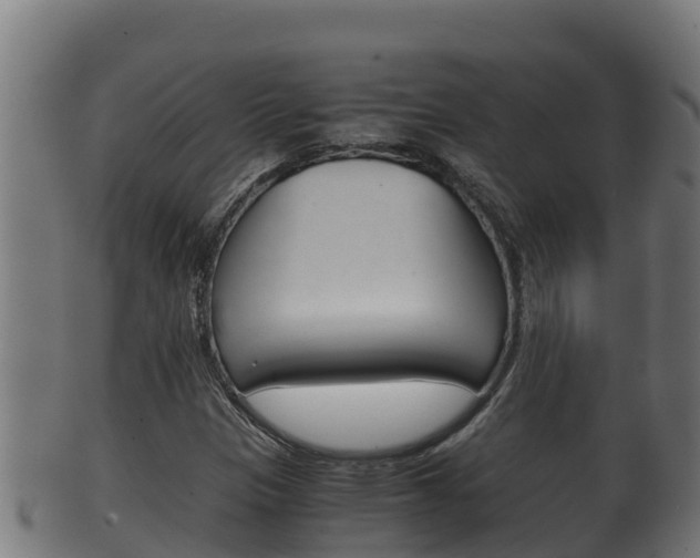 X0000100381305200806060817
