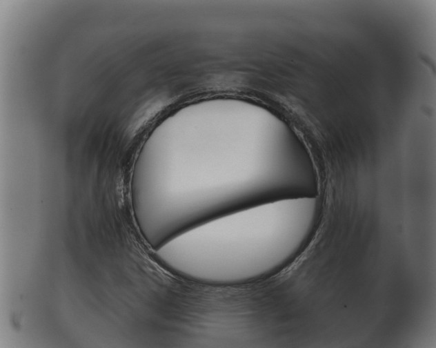 X0000100381306200806060817