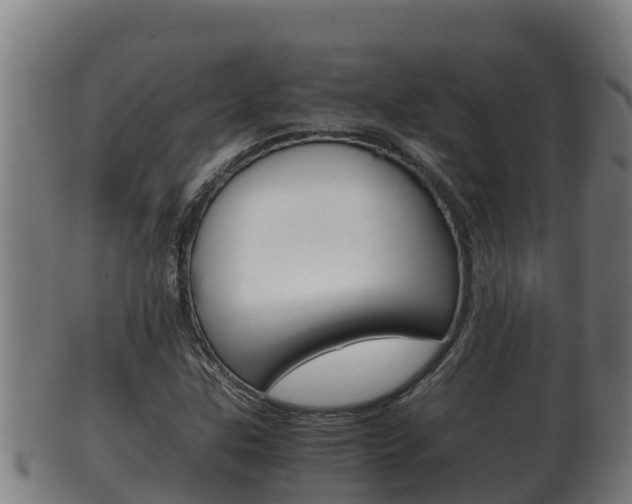 X0000100381307200806060817