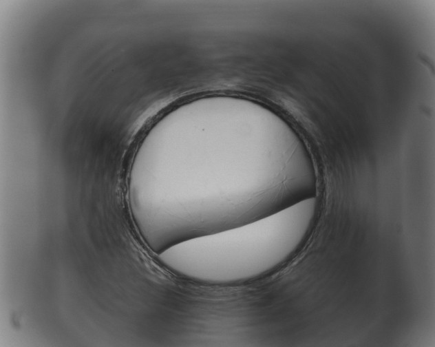 X0000100381308200806060817
