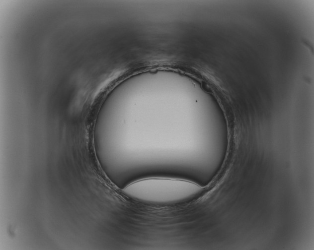 X0000100381309200806060817
