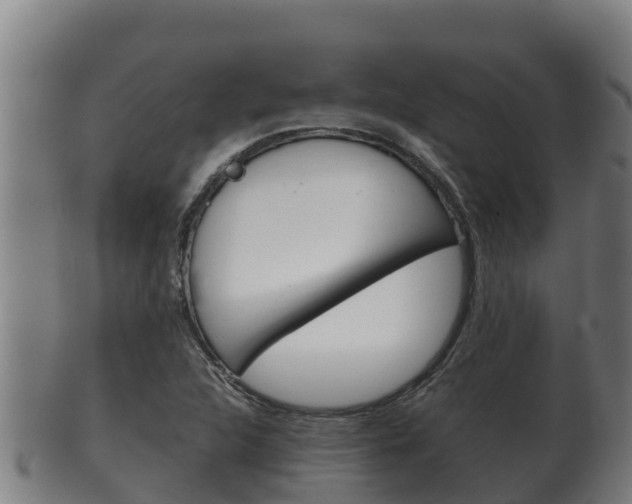 X0000100381312200806060817