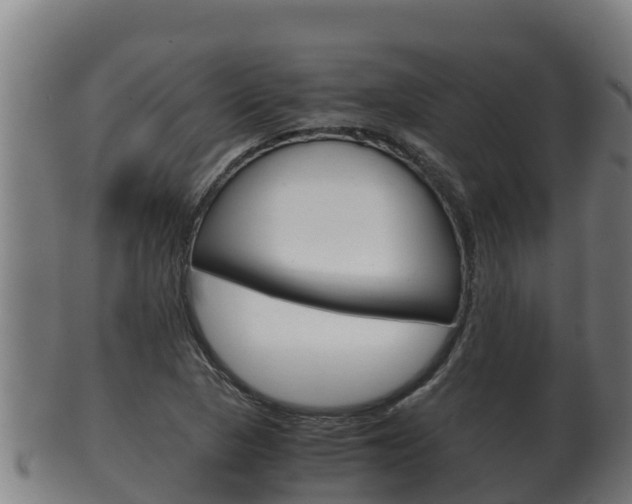 X0000100381313200806060817