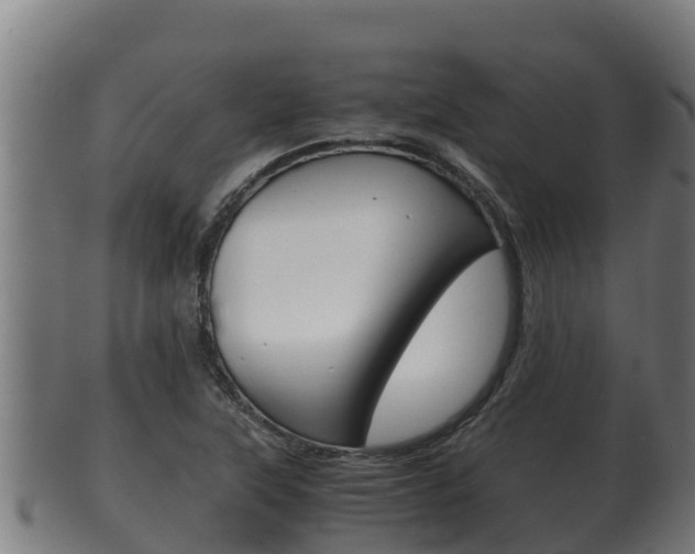X0000100381315200806060817