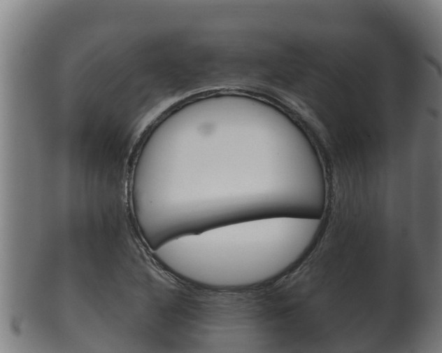 X0000100381316200806060817