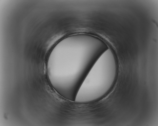 X0000100381317200806060817