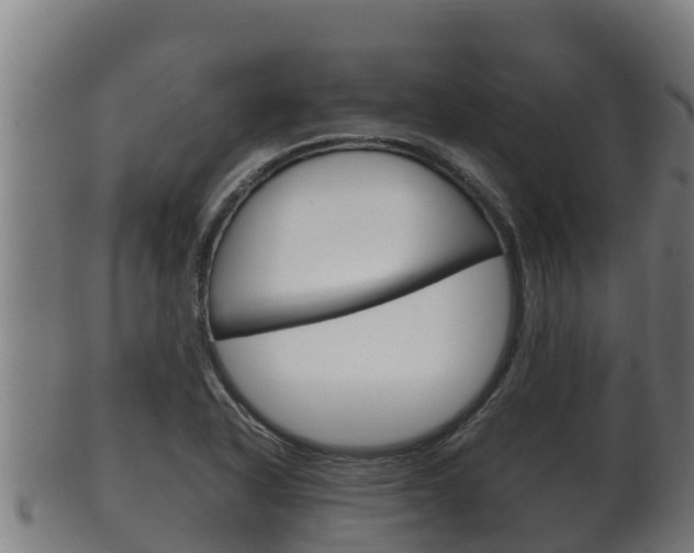 X0000100381318200806060817