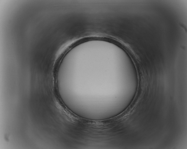 X0000100381319200806060817