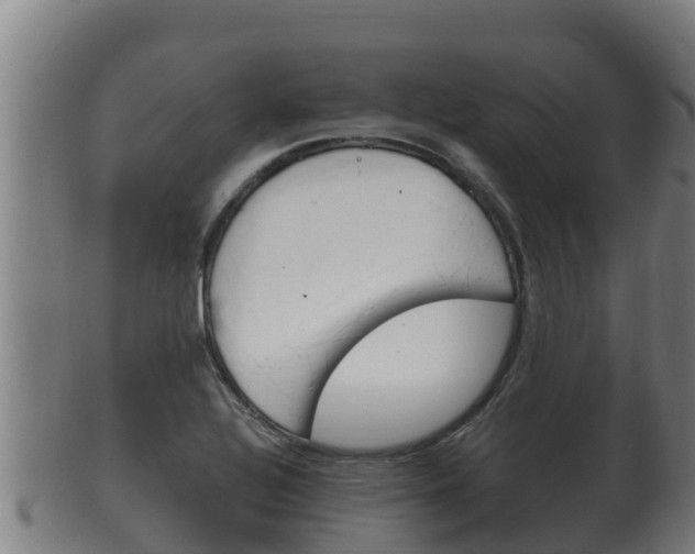 X0000100381320200806060817
