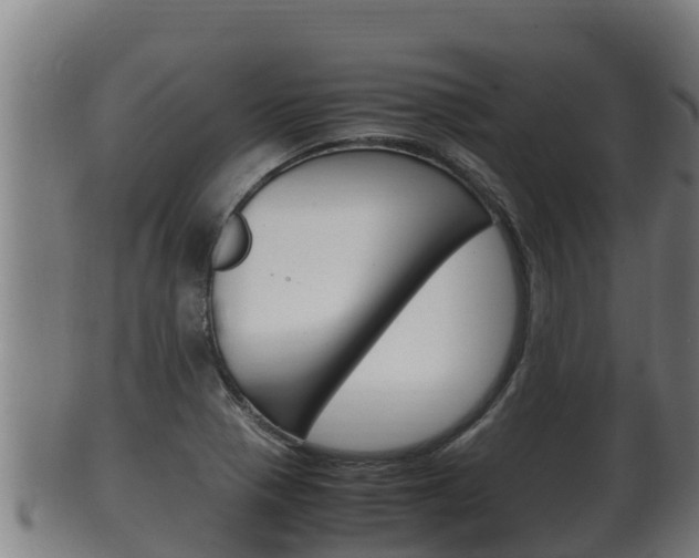 X0000100381321200806060817