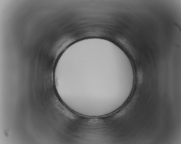 X0000100381322200806060817
