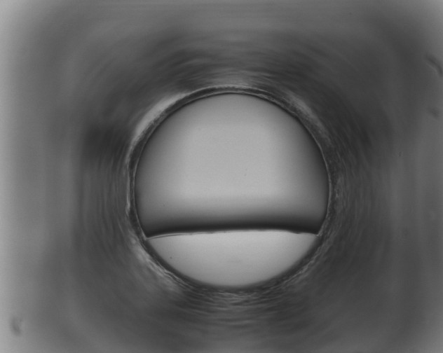 X0000100381323200806060817