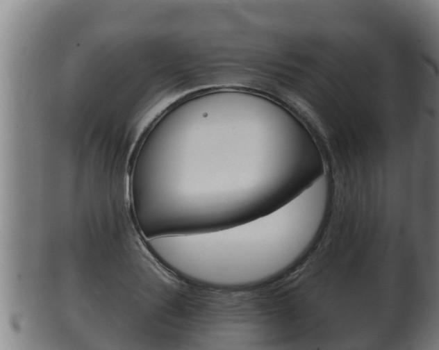 X0000100381324200806060817