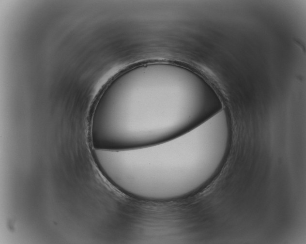 X0000100381326200806060817