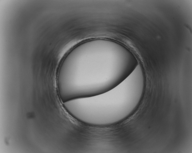 X0000100381328200806060817