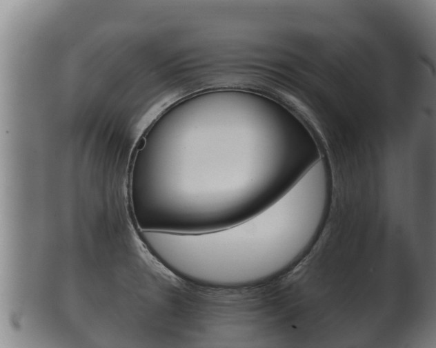 X0000100381330200806060817