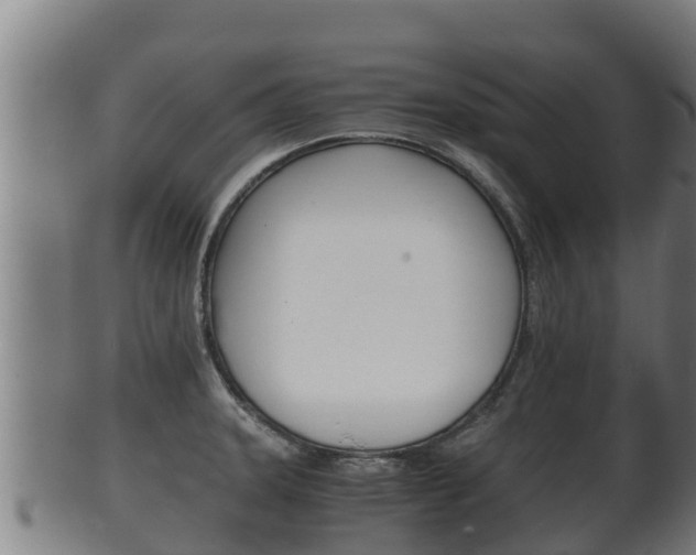 X0000100381331200806060817