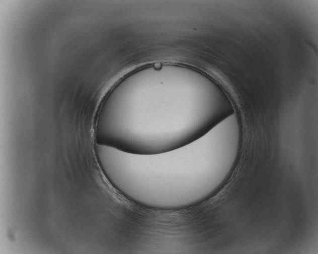 X0000100381332200806060817