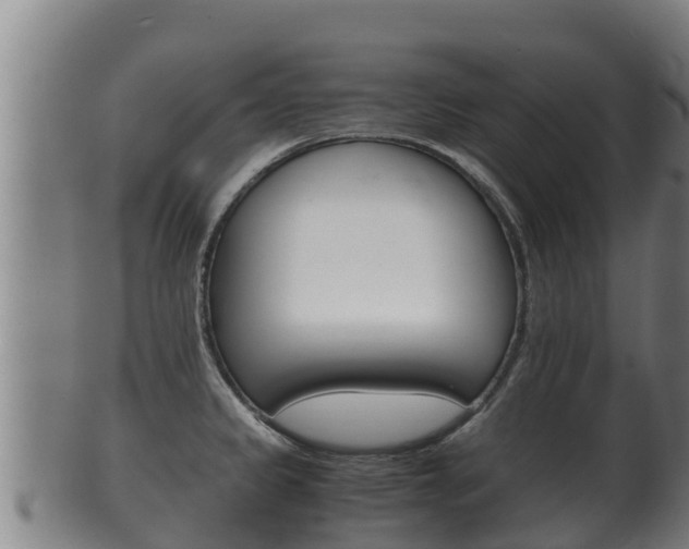 X0000100381333200806060817