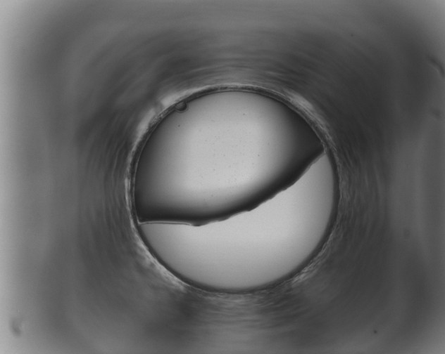 X0000100381334200806060817