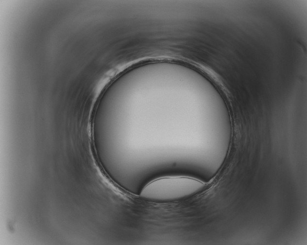 X0000100381335200806060817