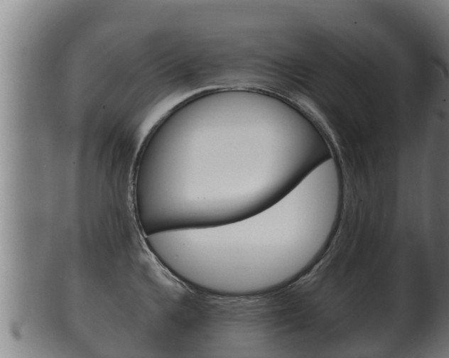X0000100381336200806060817