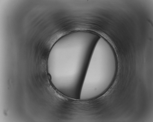 X0000100381337200806060817