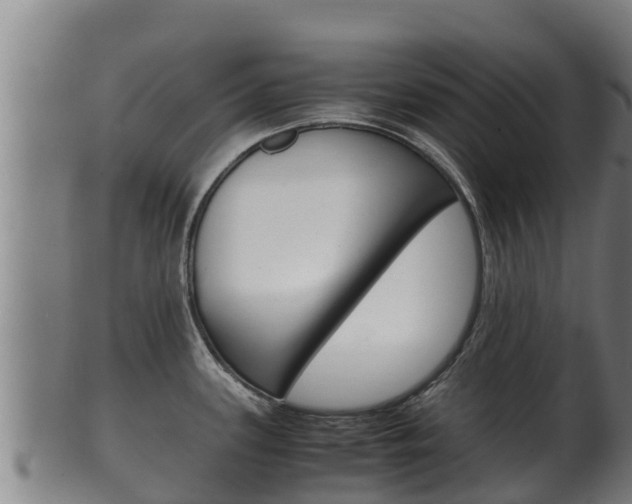 X0000100381339200806060817