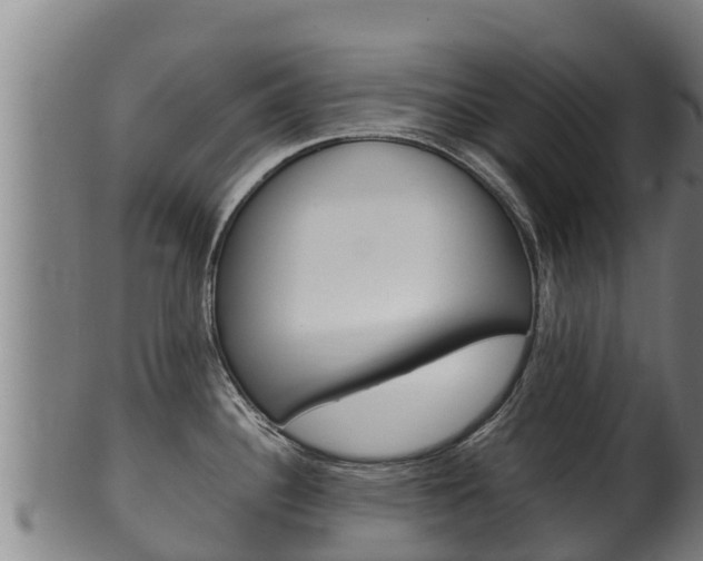X0000100381340200806060817