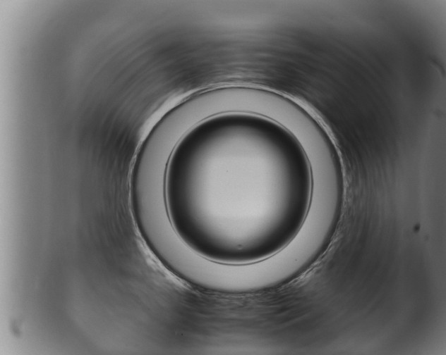 X0000100381341200806060817