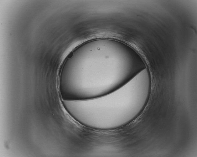 X0000100381342200806060817