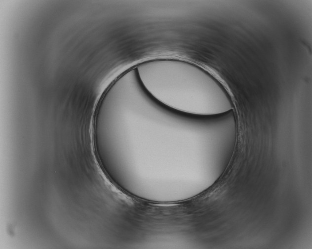 X0000100381343200806060817