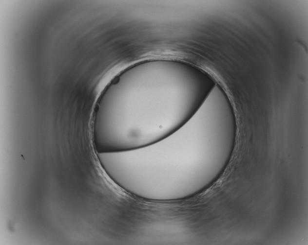 X0000100381344200806060817